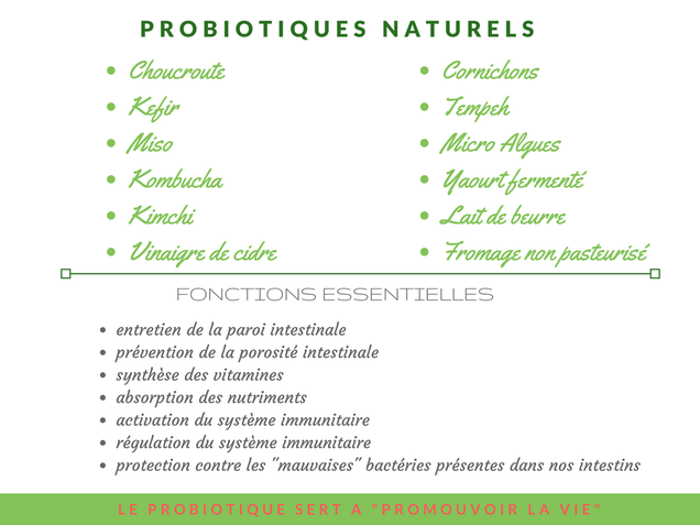 Probiotiques naturels et l'alimentation anti-inflammatoire